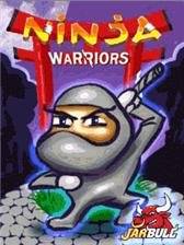 game pic for Ninja Warriors